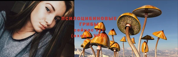 а пвп мука Осташков