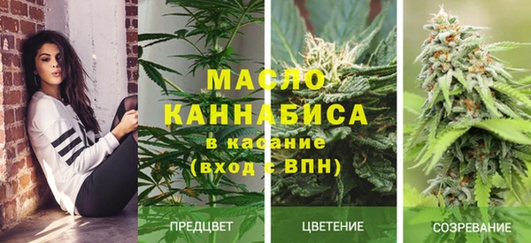 твердый Осинники