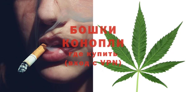 твердый Осинники