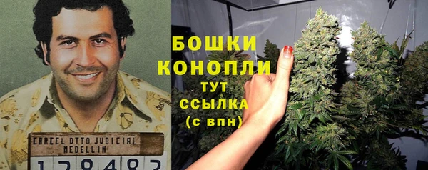 твердый Осинники