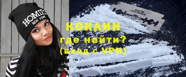 твердый Осинники