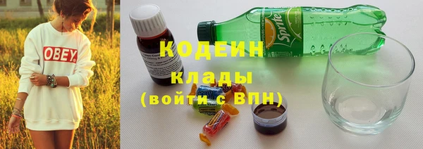 твердый Осинники